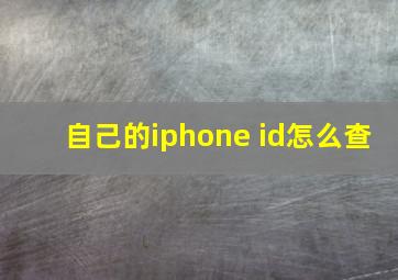 自己的iphone id怎么查